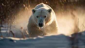 een groot arctisch zoogdier met vacht wandelen in polair klimaat gegenereerd door ai foto