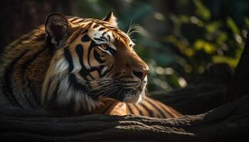 majestueus Bengalen tijger staren Bij camera in tropisch regenwoud gegenereerd door ai foto