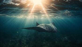 diep onderstaand, majestueus zee leven in beweging, vrij duiken avontuur gegenereerd door ai foto