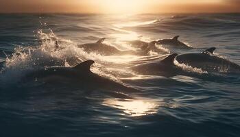 silhouet van speels dolfijn jumping in blauw zeegezicht verstuiven gegenereerd door ai foto