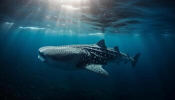 majestueus walvis haai en manta straal in multi gekleurde zeegezicht gegenereerd door ai foto