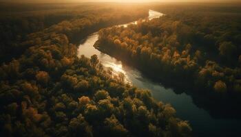 panoramisch herfst landschap, rustig Woud schoonheid weerspiegeld in rustig water gegenereerd door ai foto