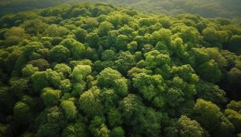 groen boomtoppen patroon groei in panoramisch berg landschap visie gegenereerd door ai foto