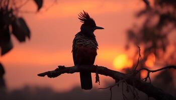 silhouet van vogel neerstrijken Aan Afdeling Bij schemering, terug lit gegenereerd door ai foto