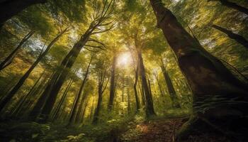 rustig tafereel van herfst groei in wildernis Oppervlakte met levendig kleuren gegenereerd door ai foto