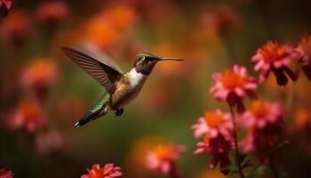 kolibrie zweven midden lucht, verspreiden Vleugels, bestuiven levendig bloem bloesem gegenereerd door ai foto