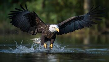 kaal adelaar vangen vis midden lucht, presentatie van Amerikaans cultuur natuurlijk schoonheid gegenereerd door ai foto