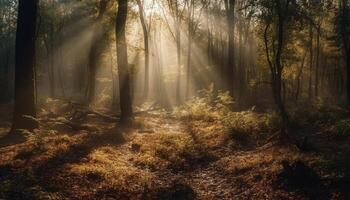 mysterieus herfst Woud, rustig ochtendgloren, spookachtig schoonheid in natuur gegenereerd door ai foto