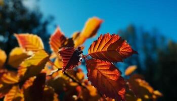 levendig herfst gebladerte in dichtbij omhoog, multi gekleurde esdoorn- boom patroon gegenereerd door ai foto