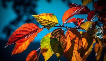 levendig herfst Woud, multi gekleurde bladeren, helder geel esdoorn- boom gegenereerd door ai foto