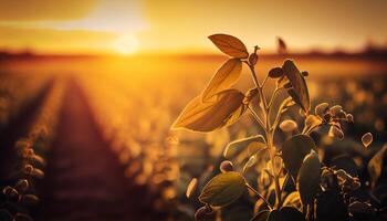 natuur schoonheid gevangen genomen levendig zonsondergang over- weide ,generatief ai foto