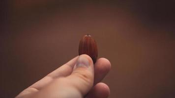 eikel in een hand van de jonge man met onscherpte foto