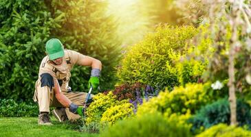 professioneel tuinarchitect het uitvoeren van achtertuin tuin onderhoud foto