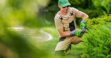 professioneel tuinman aannemer met haag scharen foto