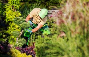 voorjaar tijd achtertuin tuin onderhoud uitgevoerd door tuinman foto