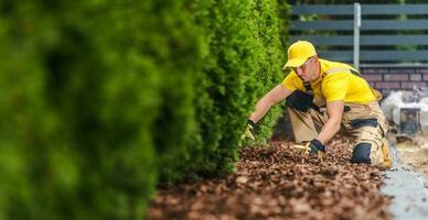 professioneel tuinman regelen van de tuin hakselhout in de voorkant werf foto