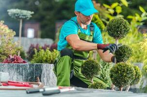 decoratief planten trimmen foto