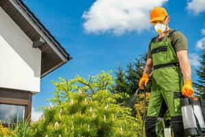 voorjaar tijd achtertuin tuin fungicide en insecticide foto