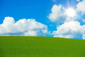 zonnig zomer veld- foto