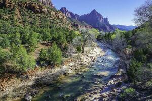 voorjaar in Zion nationaal park foto