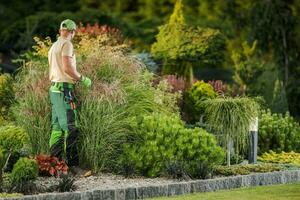 professioneel tuinman het uitvoeren van achtertuin tuin planten controleren foto