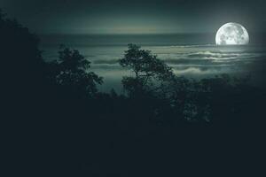 vol maan nacht achtergrond foto