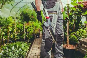 seizoensgebonden planten trimmen foto