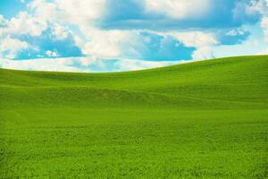 toneel- zomer landschap foto