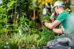 kiezen tuin planten foto