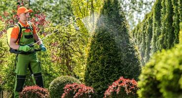 plaag controle sproeien door professioneel tuinman foto