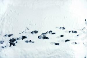 voetafdrukken op sneeuw foto