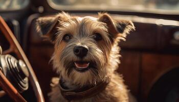 schattig terriër puppy zittend in auto, op zoek uit gegenereerd door ai foto