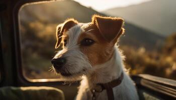 schattig terriër puppy zittend in auto, glimlachen gegenereerd door ai foto