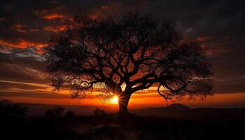 silhouet van boom terug lit door zonsopkomst gegenereerd door ai foto