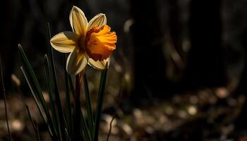 levendig madeliefje bloesems in de weide groei gegenereerd door ai foto