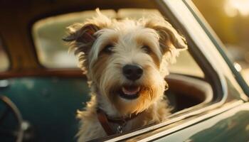 schattig terriër puppy zittend in auto venster gegenereerd door ai foto