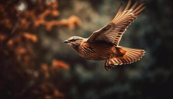 verspreiding Vleugels, stijgend hoog, havik in vlucht gegenereerd door ai foto