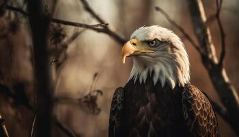 kaal adelaar neerstrijken Aan tak, majestueus jager gegenereerd door ai foto