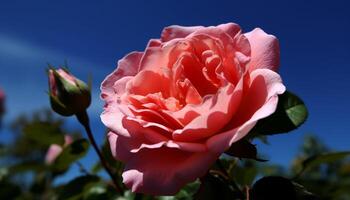 levendig tulp boeket, een geschenk van liefde gegenereerd door ai foto