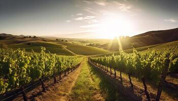 zonsondergang over- wijngaard, rustig tafereel van schoonheid gegenereerd door ai foto