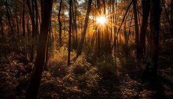 mysterie en kalmte in levendig herfst landschap gegenereerd door ai foto