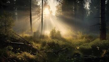 betoverend Woud verbergt mysterie in rustig wildernis gegenereerd door ai foto