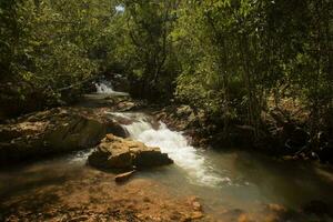 een van de kleiner watervallen Bij cachoeira boqueirao in paranoïde, Brazilië, in de buurt Brasilia foto