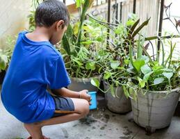 schattig 5 jaren oud Aziatisch weinig jongen is gieter de fabriek in de potten gelegen Bij huis balkon, liefde van zoet weinig jongen voor de moeder natuur gedurende gieter in planten, kind aanplant foto