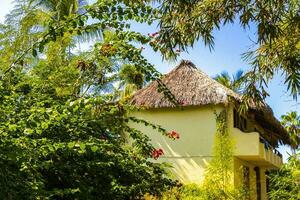 hotels gebouwen huizen in tropisch paradijs in puerto escondido Mexico. foto