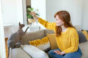 speels sphynx kat genieten van spelen Aan sofa met haar eigenaar foto