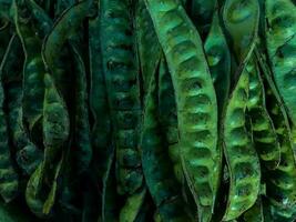 groep van petai of parkia speciosa Aan Scherm Bij lokaal Indonesisch markt. petai achtergrond foto