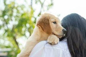 weinig hond twee maanden oud zittend in de ams van de eigenaar en op zoek Bij camera foto