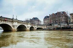 visie van de Seine rivier- De volgende naar de pont neuf in een verkoudheid winter dag in Parijs foto