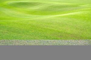 mooi golf Cursus visie, golf Cursus met mooi zetten groente, vers groen gras Aan de golf Cursus foto